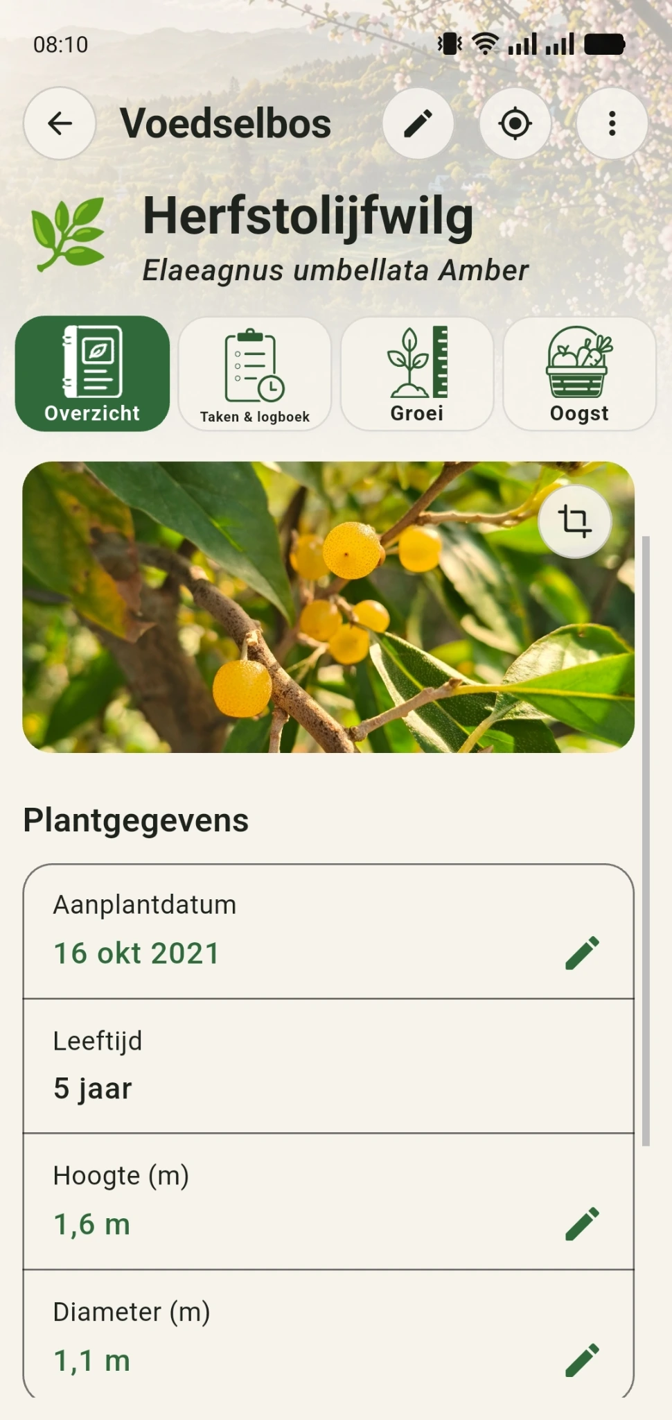 Plantdossier van een herfstolijfwilg met eigen foto, gegevens, taken, groei en oogst