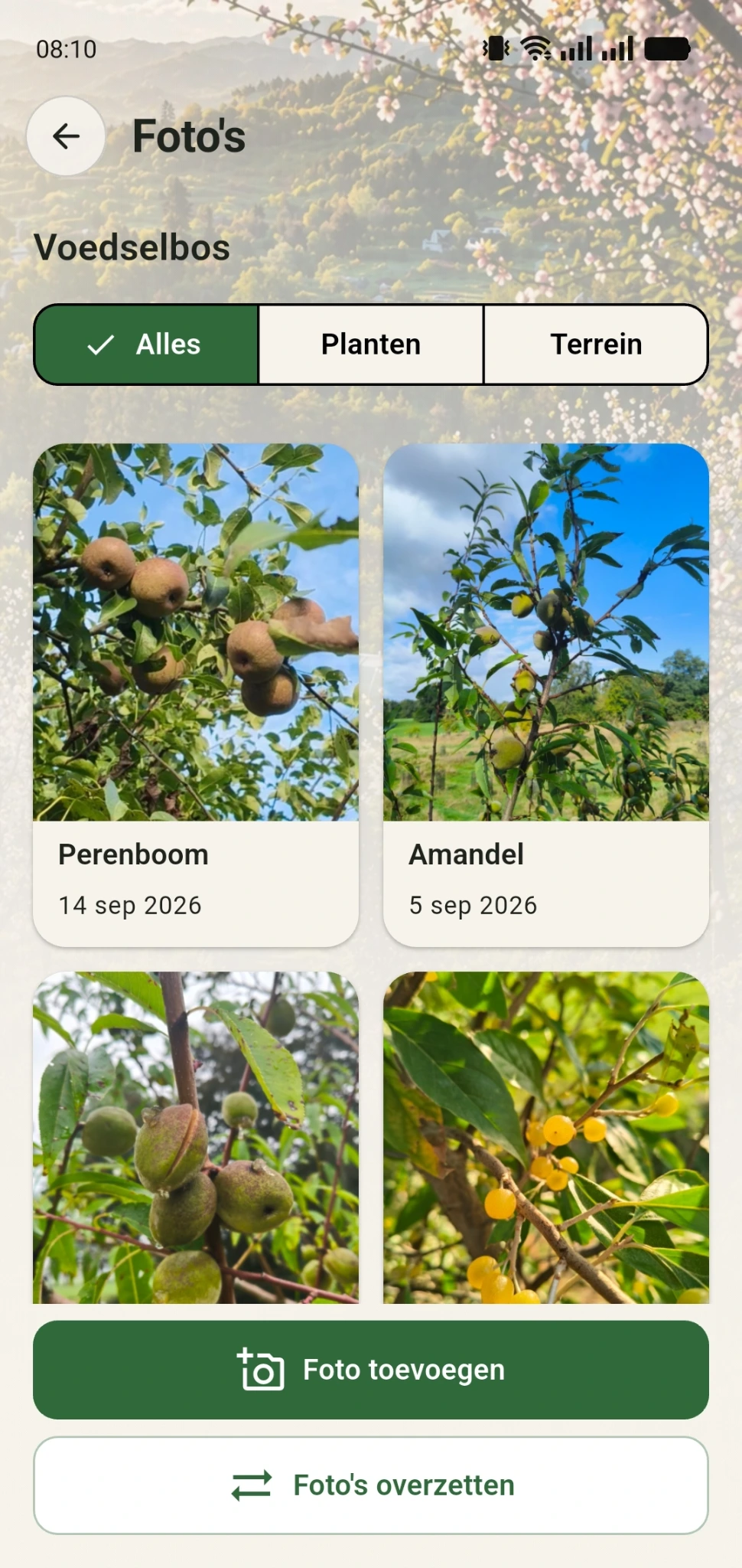 Gratis foto-overzicht in GreenPlot met foto’s van planten op het terrein